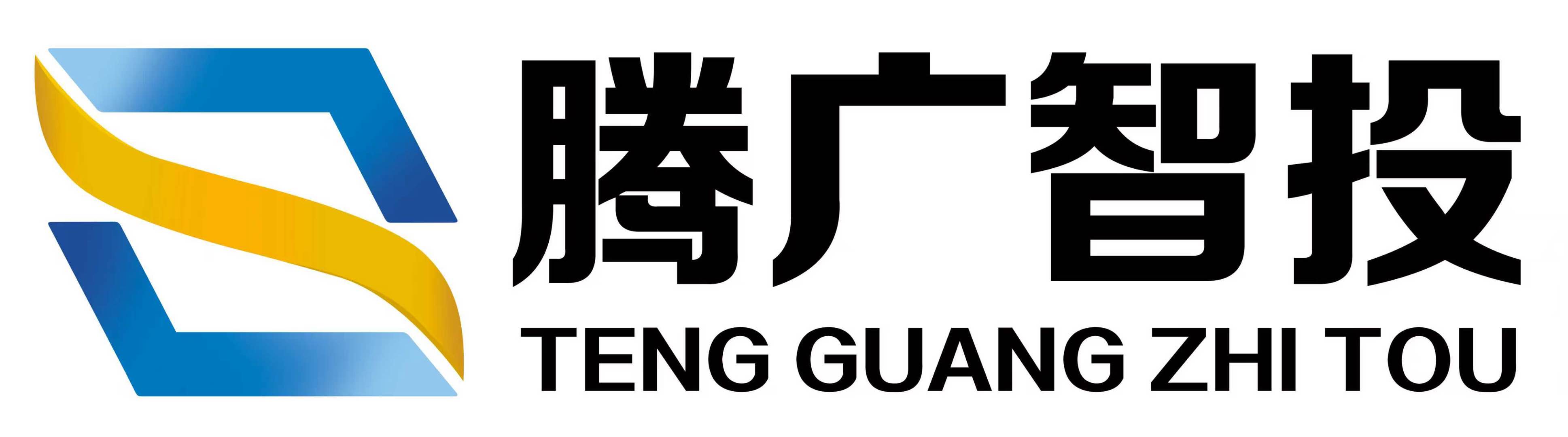 腾广智投品牌 LOGO 展示图